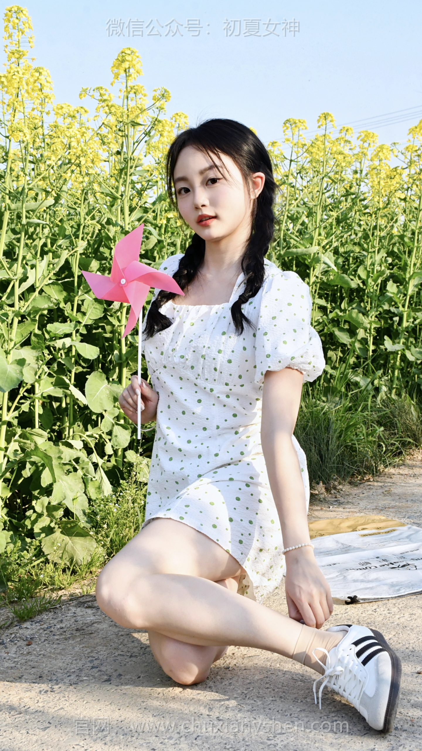 809/双双~【花田映晴】风掠过油菜花田，粉色风车转起了整个春天的温柔。