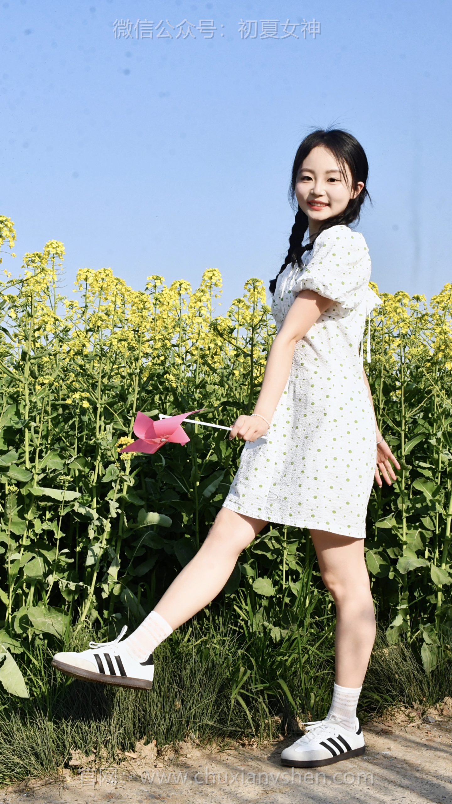 809/双双~【花田映晴】风掠过油菜花田，粉色风车转起了整个春天的温柔。