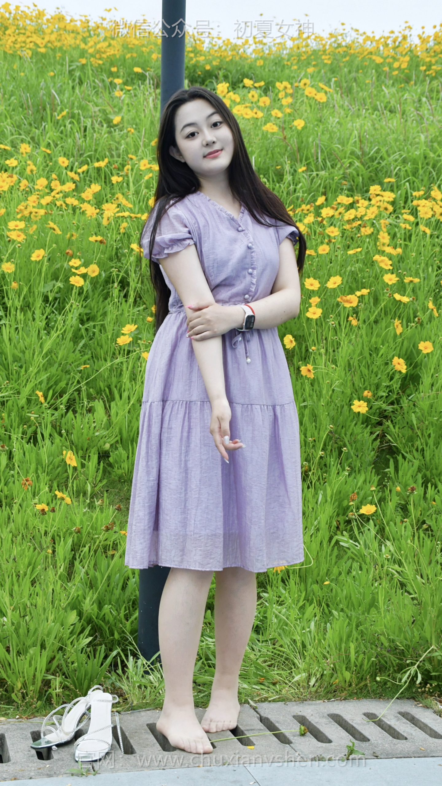 867/图图~【满目明黄】赴一场河滩花海之约，不摘花不折草，爱护花草人人有责。