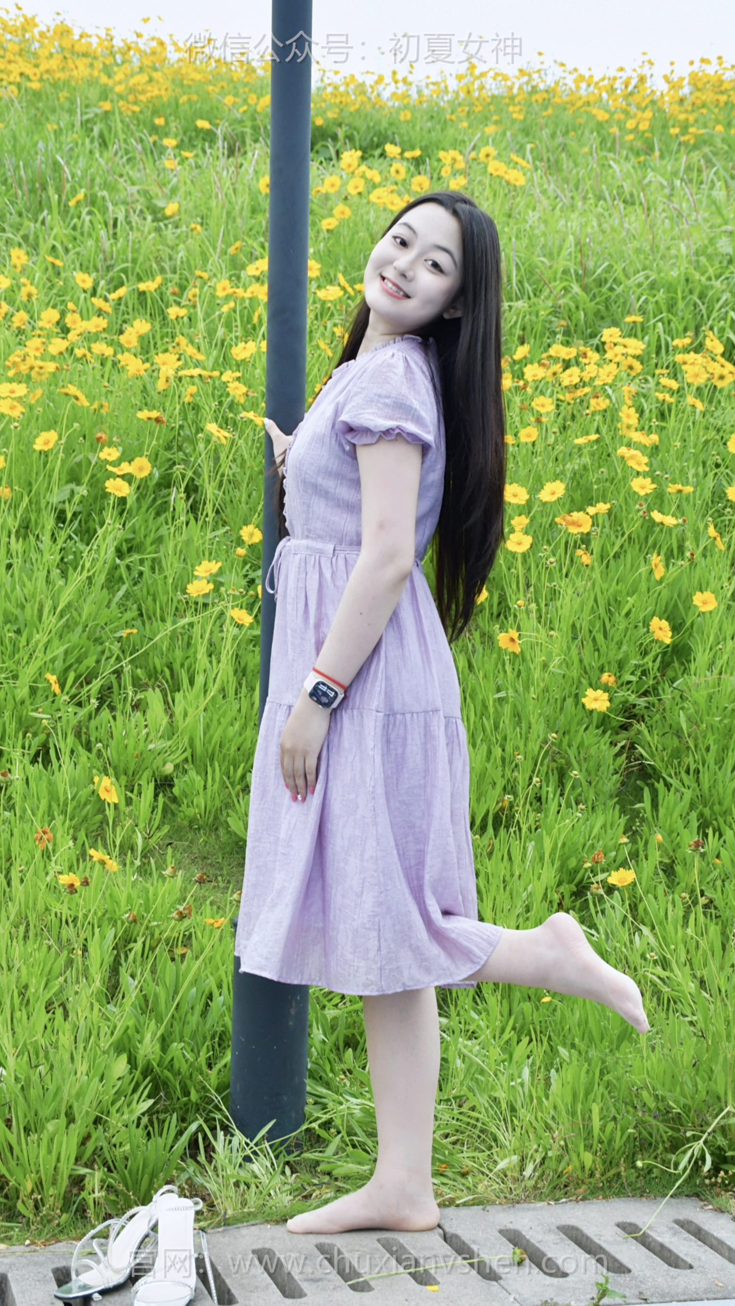 867/图图~【满目明黄】赴一场河滩花海之约，不摘花不折草，爱护花草人人有责。
