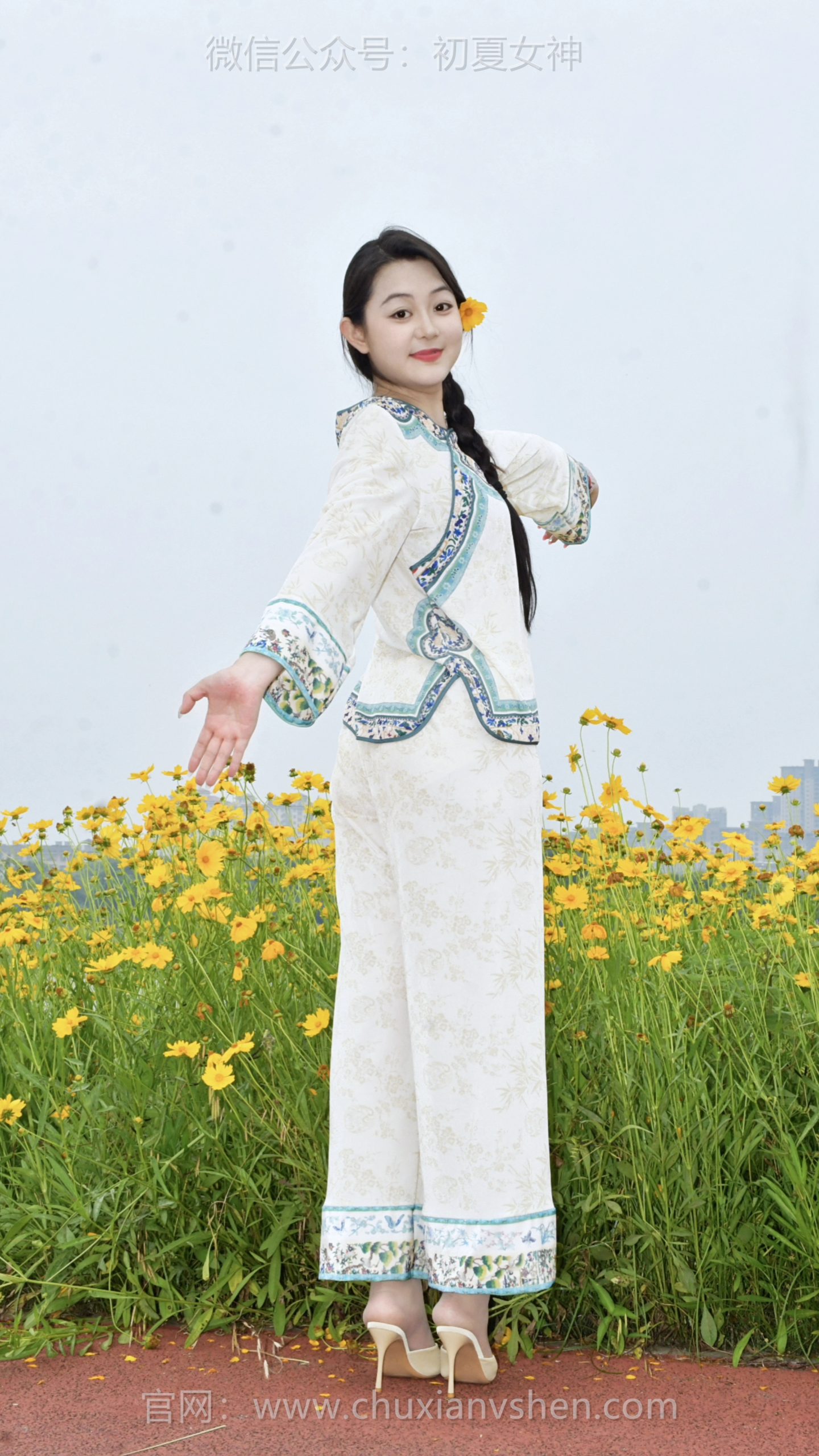 871/图图~【如蝶赴花】漫滩黄花吐芳，我们如蜂似蝶，沉醉于这片花毯。