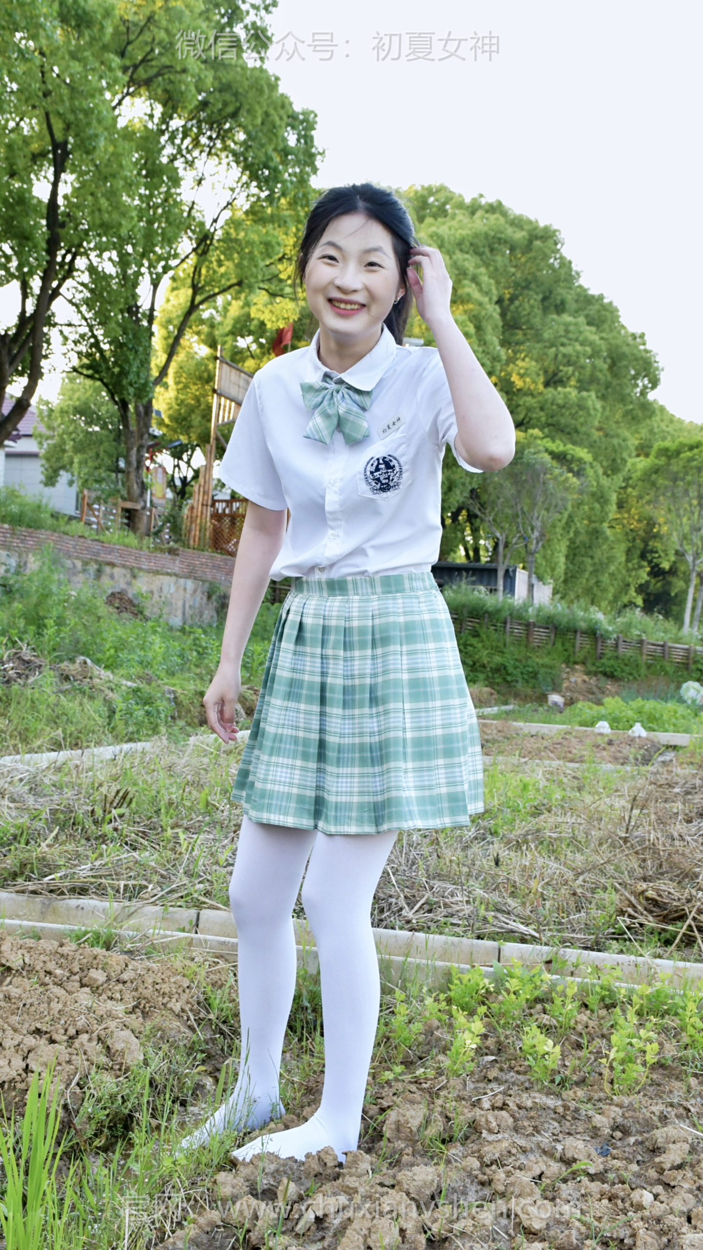 883/安妮~【不识秧苗】看着眼前一丛丛嫩绿的小苗，感慨现在很多人分不清草和菜。